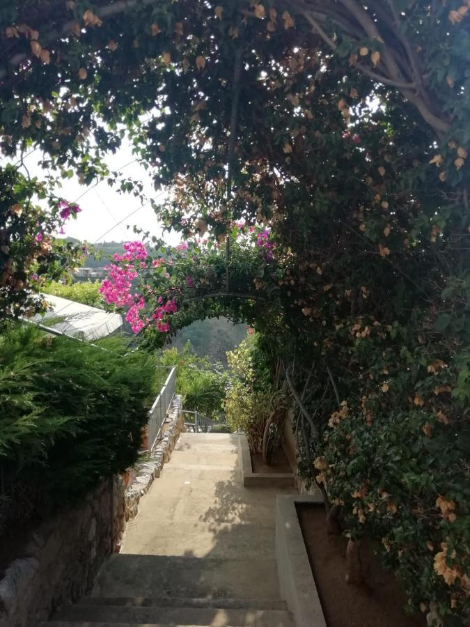 Villa Del Conte Drapia Eksteriør bilde